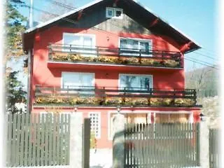 Paunasul Pensiune 3*